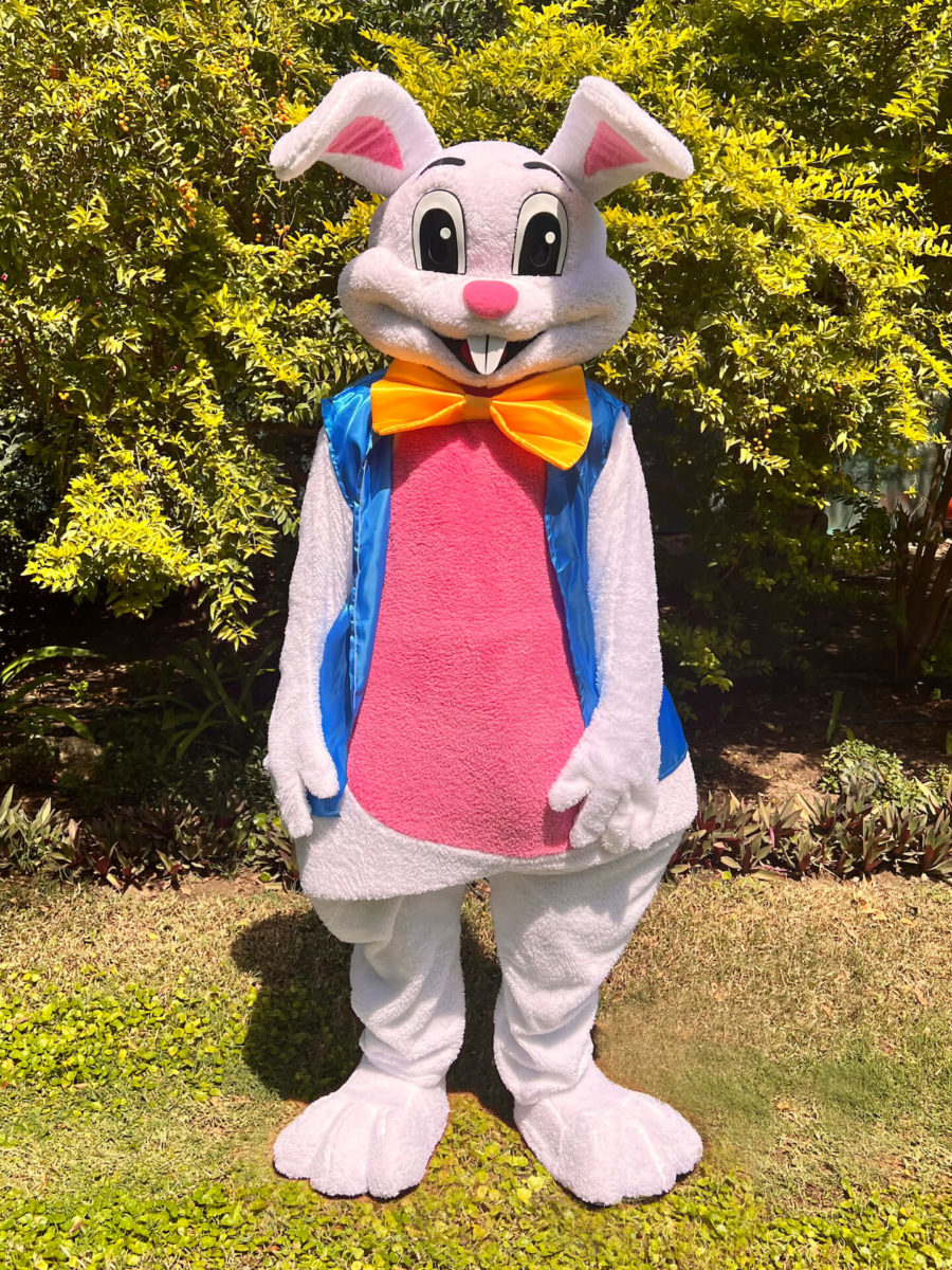 BUNNY MASCOT - thecharactercrew.com