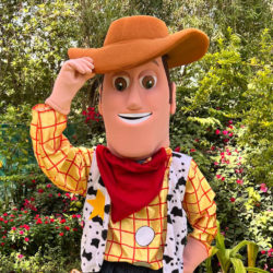 Cowboy Mascot