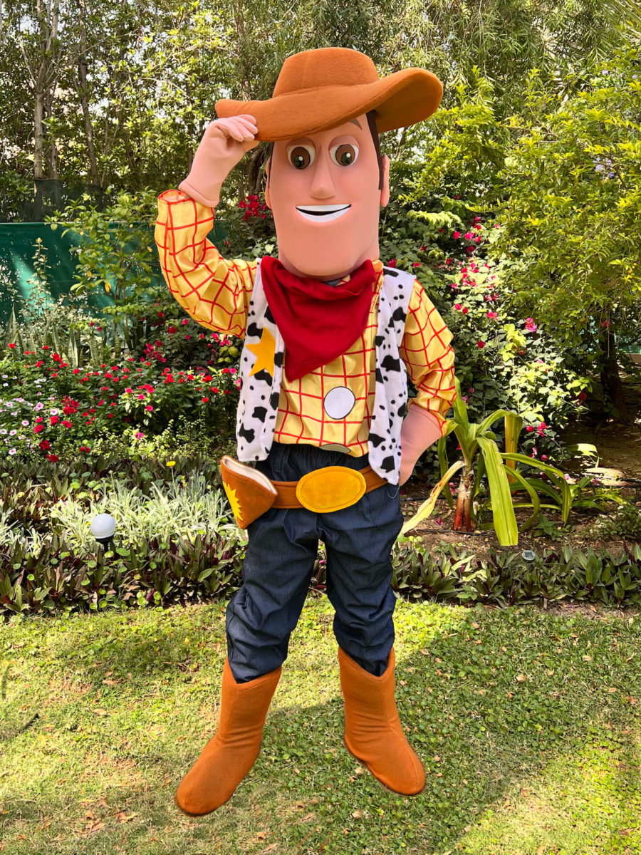 COWBOY MASCOT - thecharactercrew.com