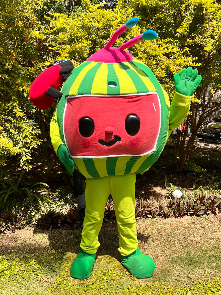 MELON MASCOT - thecharactercrew.com