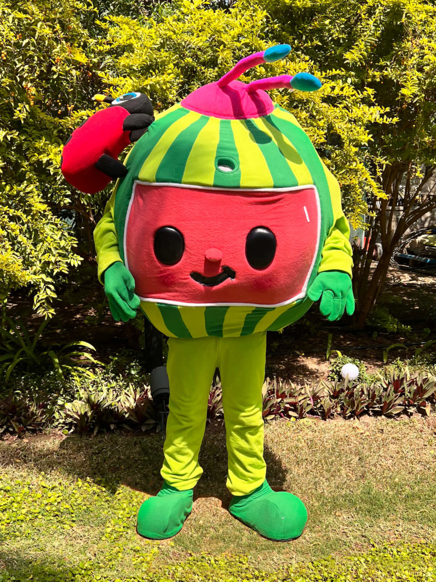 MELON MASCOT - thecharactercrew.com