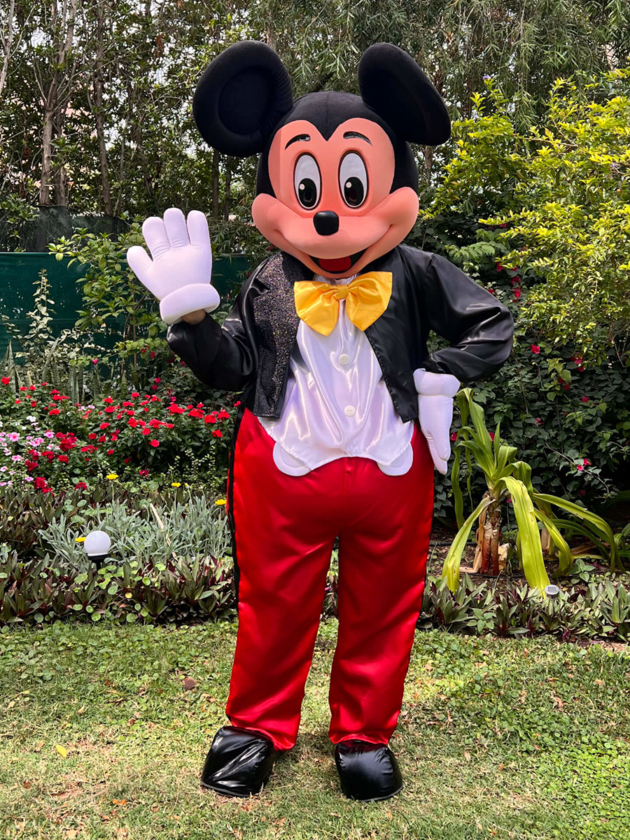 MR. MOUSE MASCOT - thecharactercrew.com