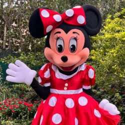 Miss Mouse Mascot