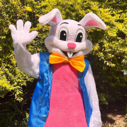 Bunny Mascot