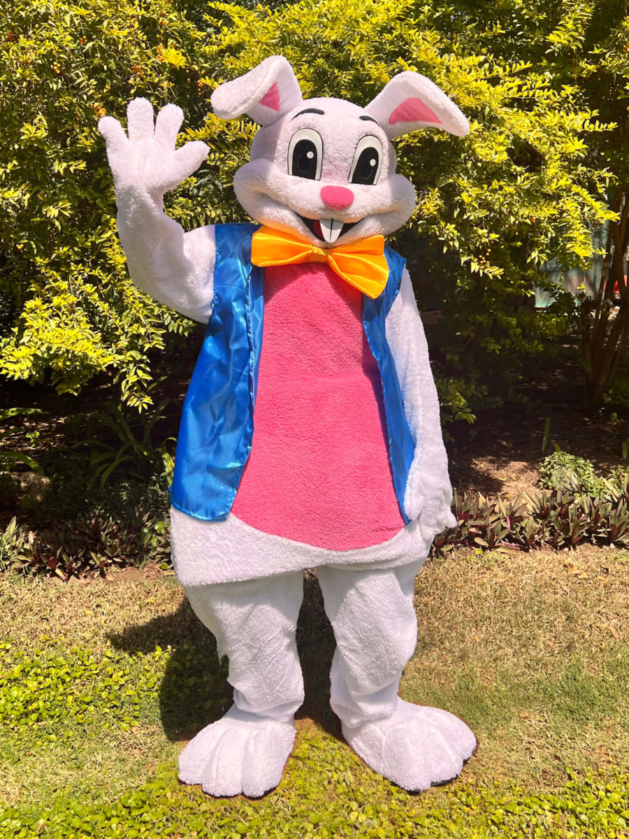 BUNNY MASCOT - thecharactercrew.com